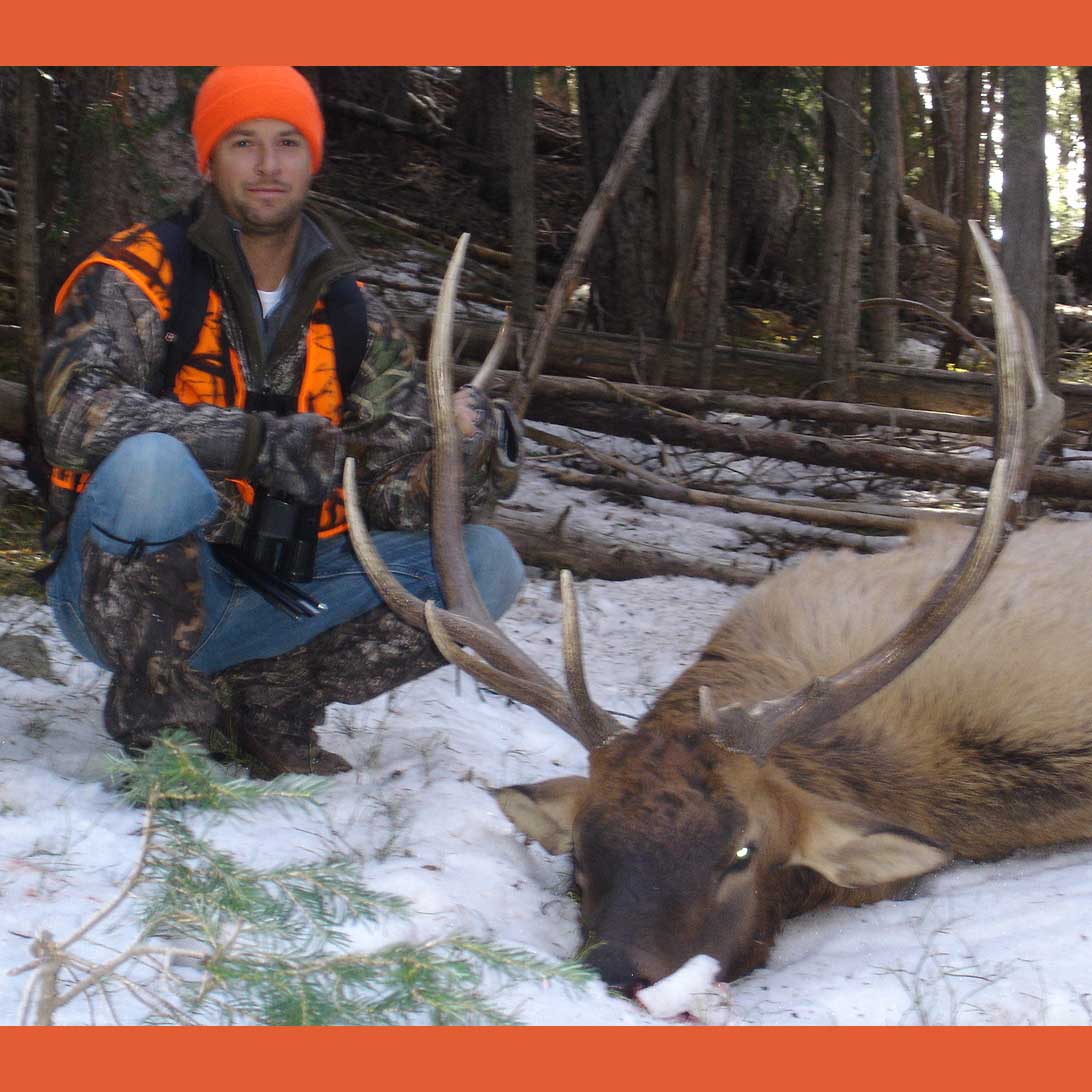 colorado elk hunting