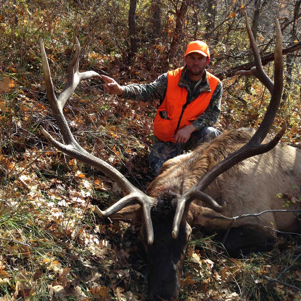 colorado elk hunting