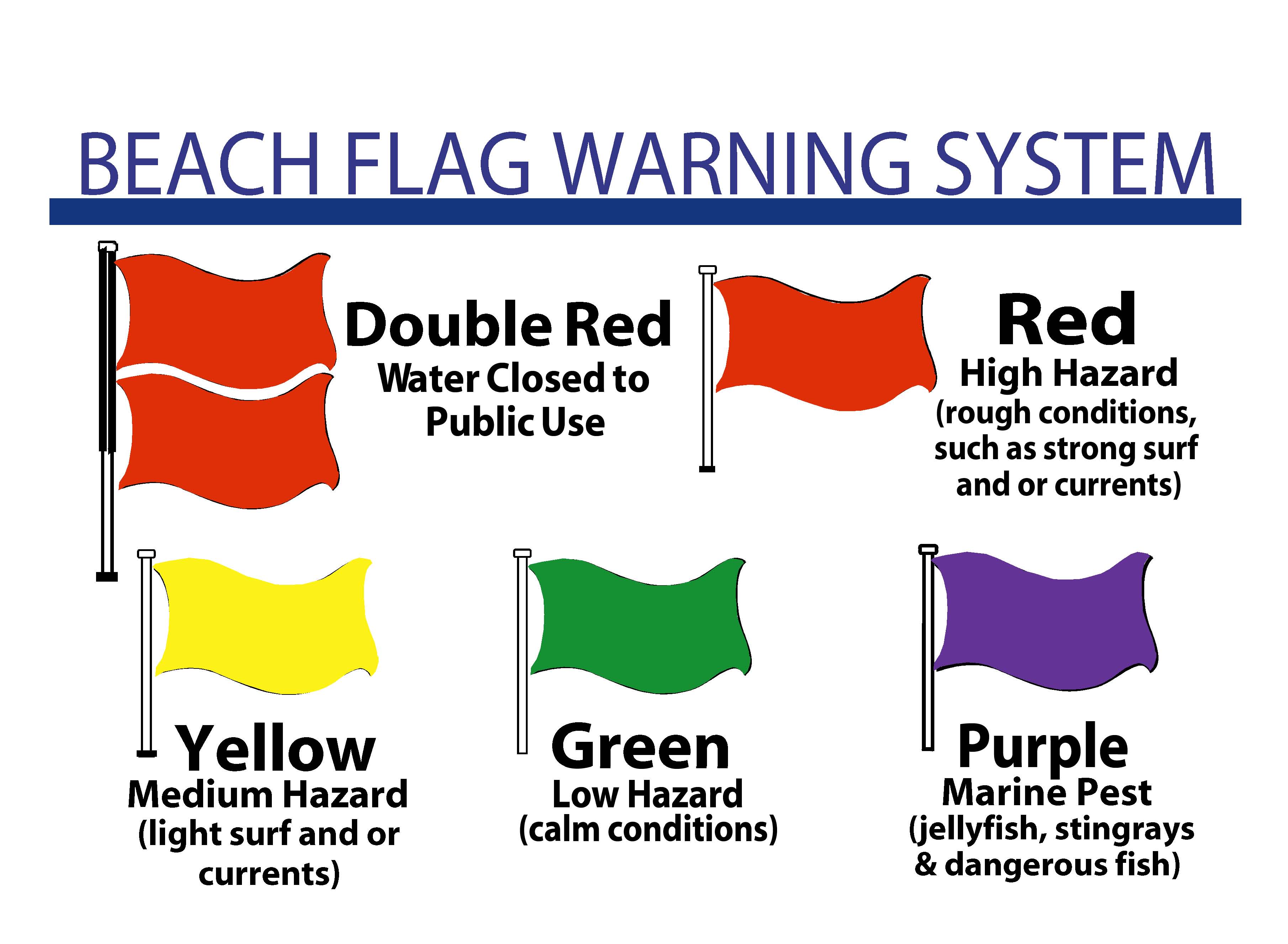 Beach Warning Flags Bring a noodle