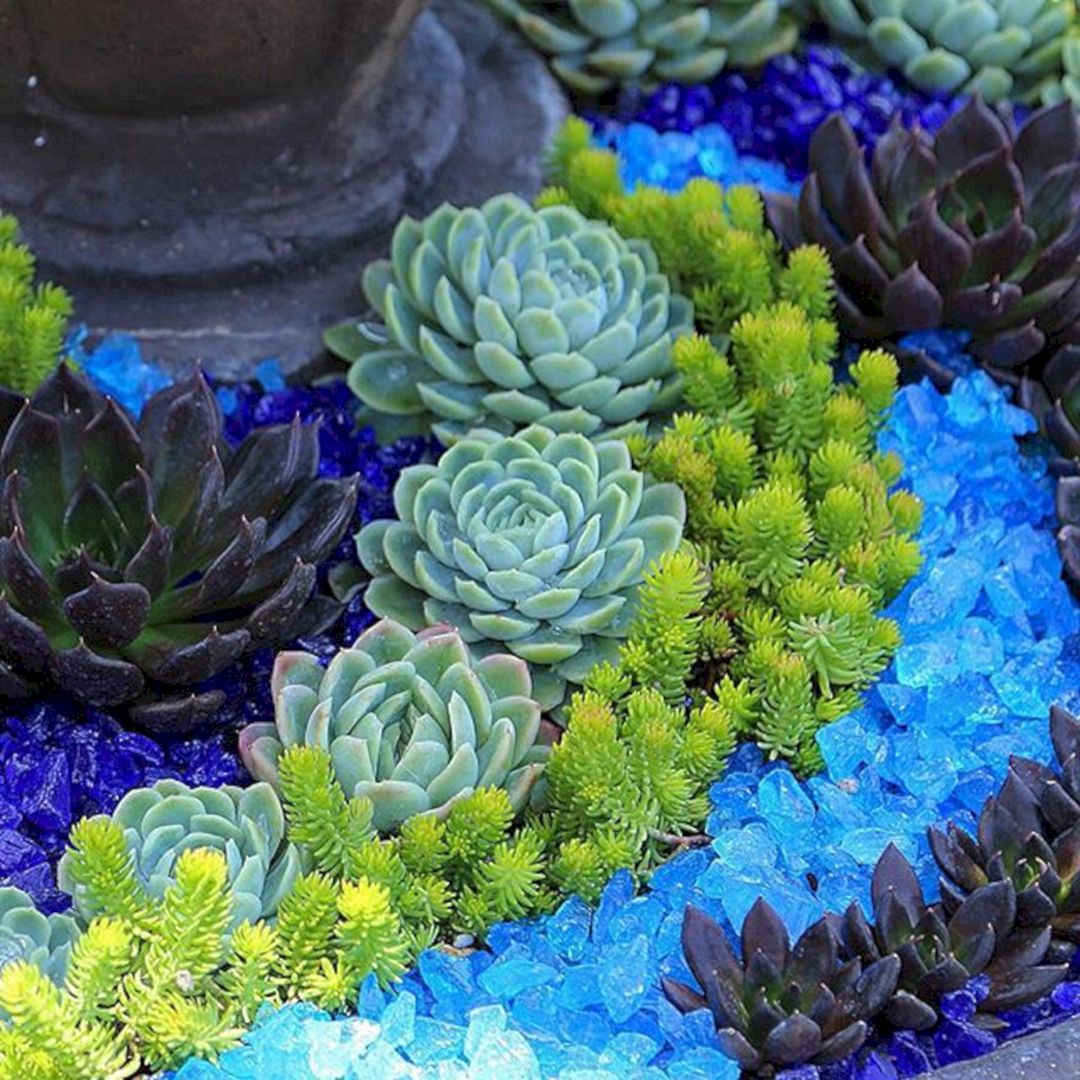 Awesome Container Garden with Succulents 45+ Best Design Ideas