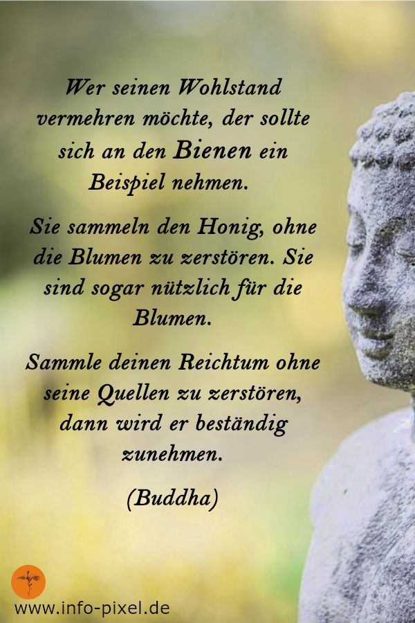 · das glück liegt in uns, nicht in den dingen. Buddha Zitate | Buddhismus Weisheiten Bienen | Zitate buddhismus, Buddhismus weisheiten