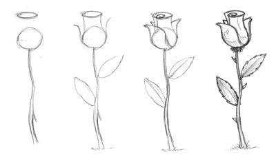 how to draw a rose