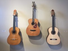 Santa Cruz Art of Guitar Exhibition and Festival