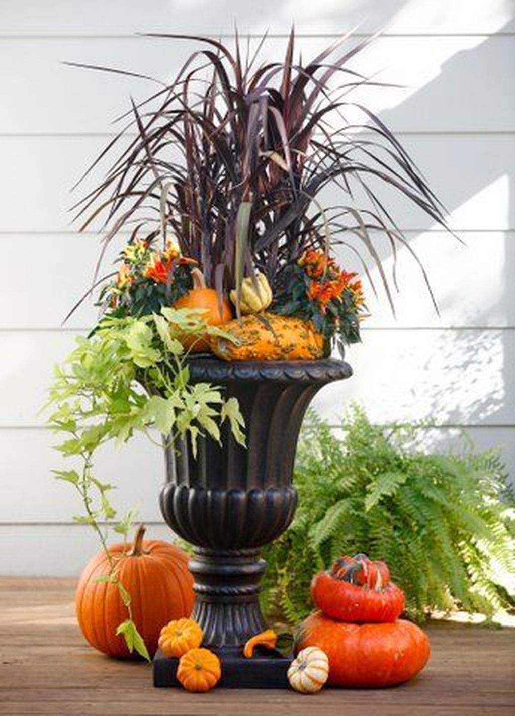 Best Plants For Fall Planters