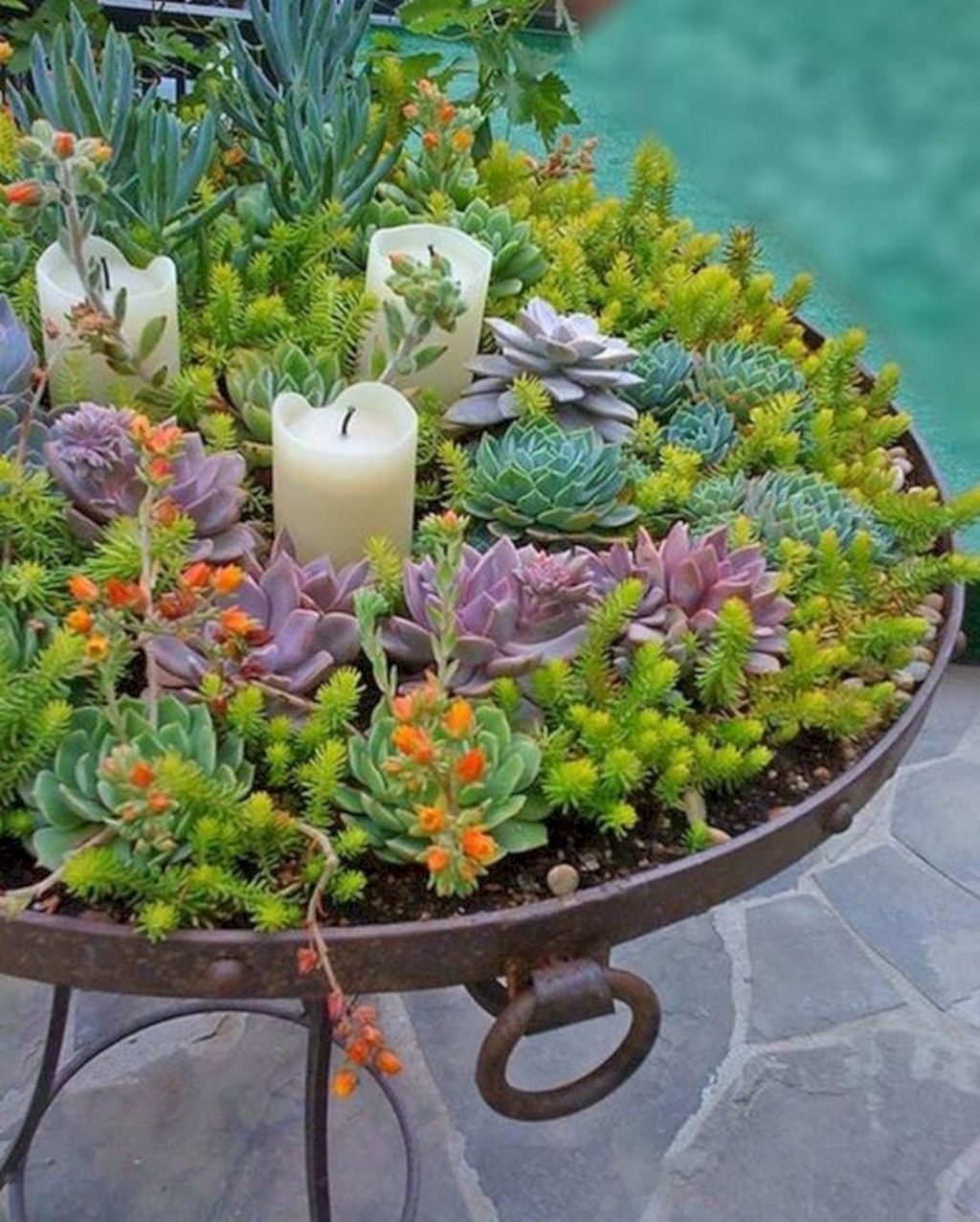 Beautiful Outdoor Succulent Planter Ideas 06