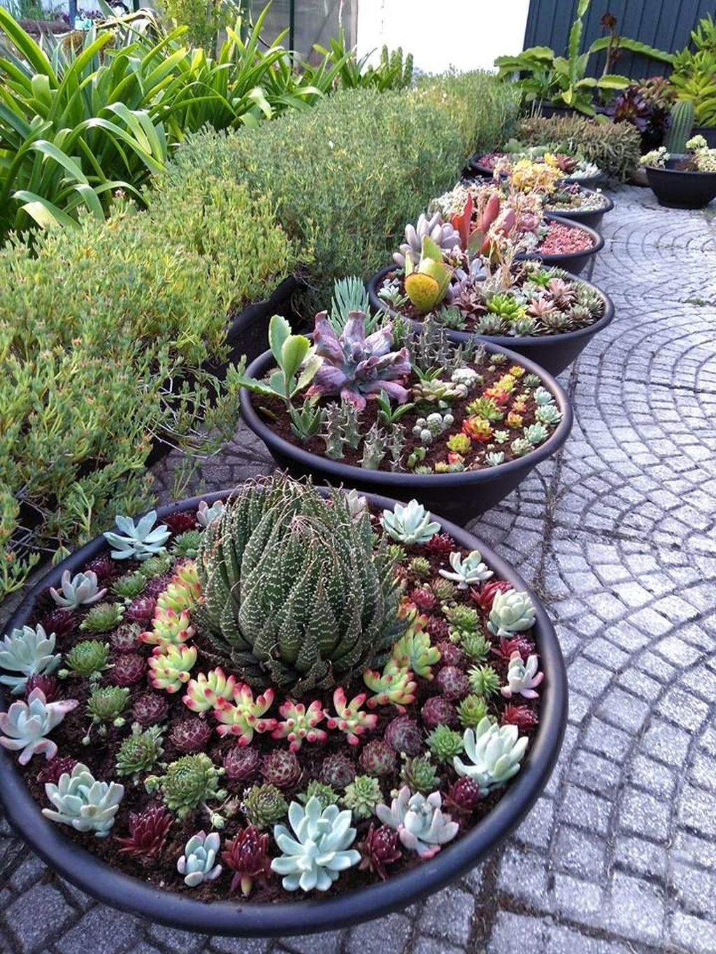 Beautiful Outdoor Succulent Planter Ideas 11