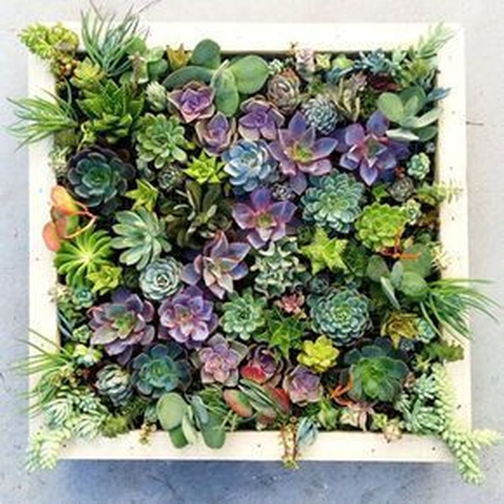 Beautiful Outdoor Succulent Planter Ideas 17