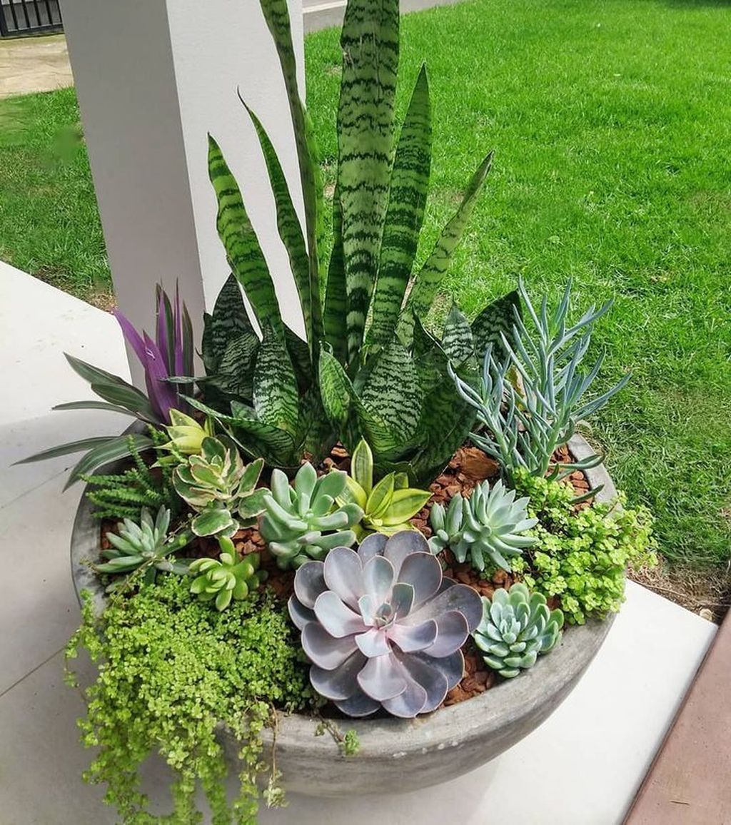 Beautiful Outdoor Succulent Planter Ideas 19