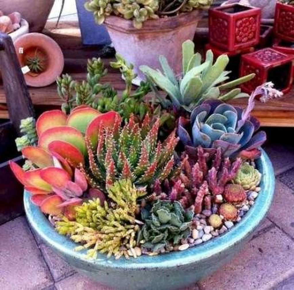 Beautiful Outdoor Succulent Planter Ideas 23