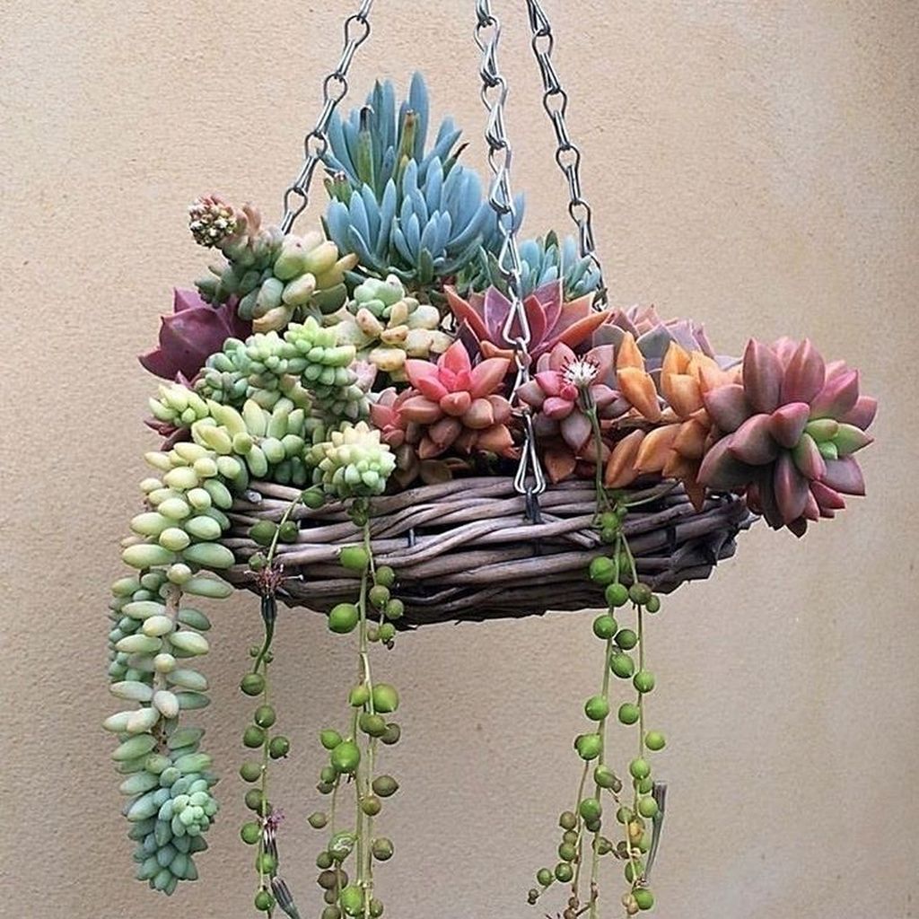 Beautiful Outdoor Succulent Planter Ideas 26