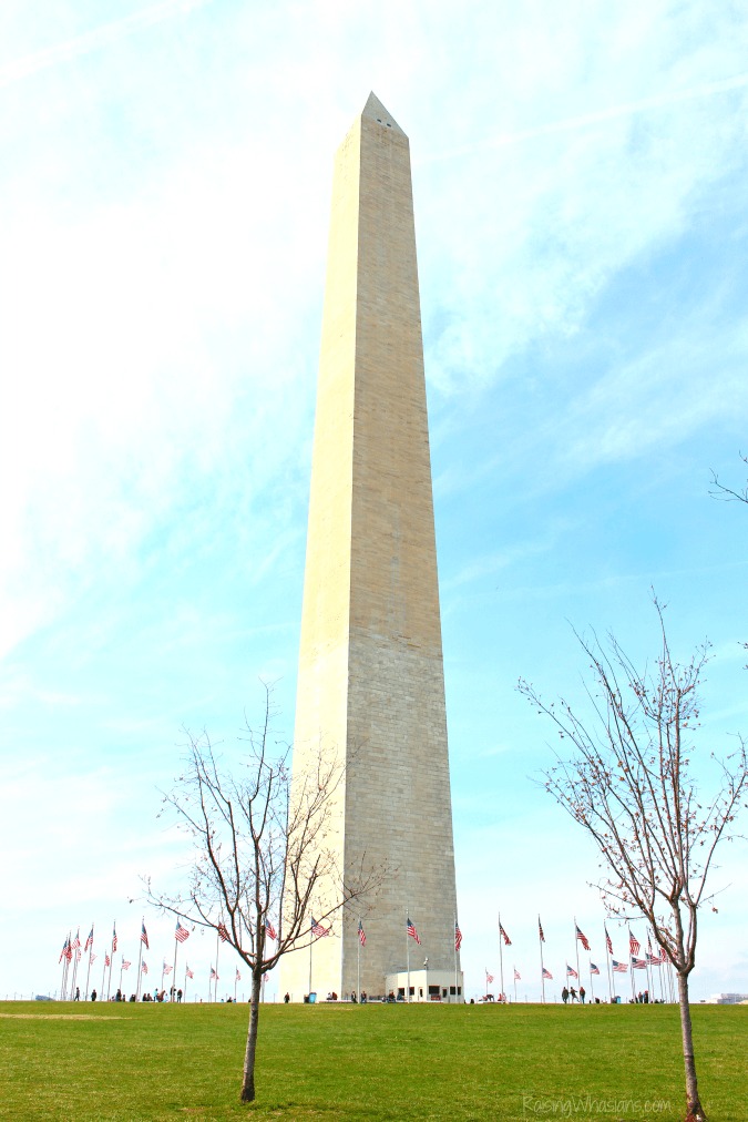 Top free things to do in Washington dc