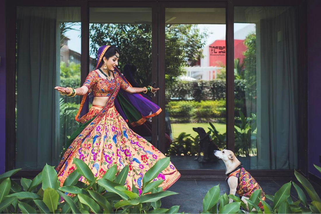 Dog wedding proposal | Indian wedding dog ideas | Save the date with dog | Save the date video Mitali and Ali #Mitali wedding by wedding Nama | Indian bride and her dog at the wedding | pet wedding | wedding with dog |Indain bride and dog in matching clothes | Indian bride twirling with her dog