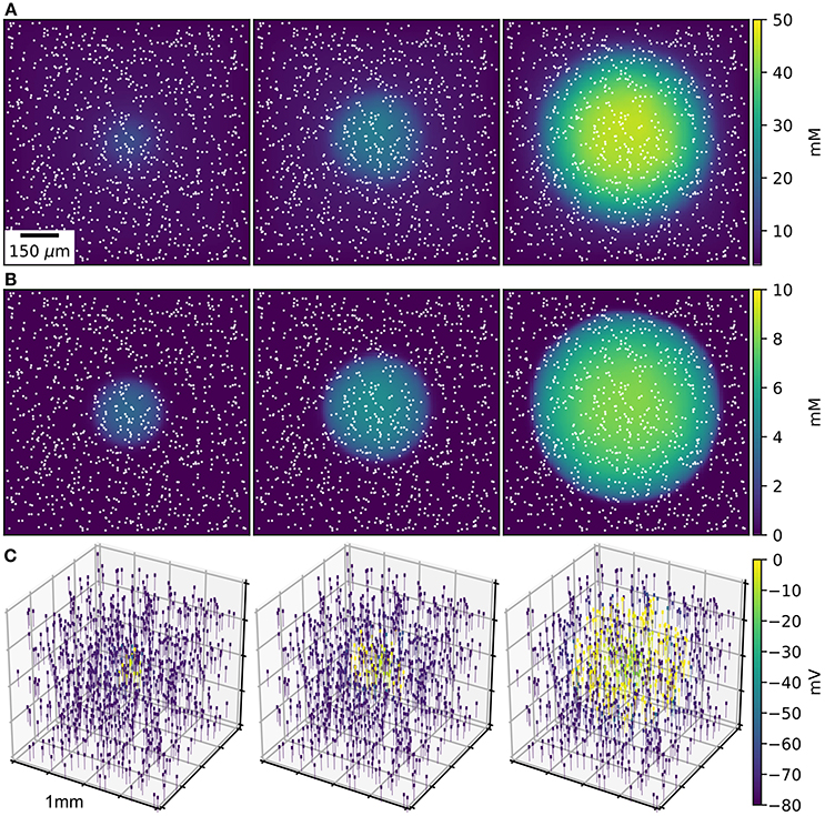 Using Neuron For Reaction Diffusion