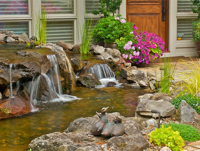 Water Feature Ideas To Transform Your