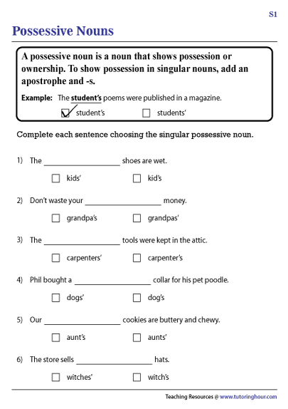 Possessive Noun Worksheet 3Rd Grade - Make It Possessive Singular And ...