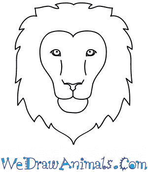 Lion Face Drawing Easy - Lion Drawing Side Face Drawing Lion Face Side