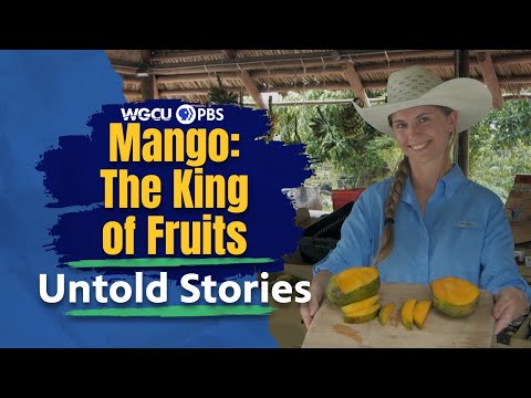 Mango: The King of Fruits | Untold Stories