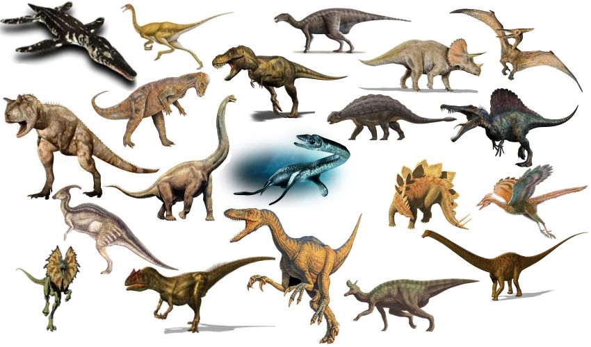 Find That Dinosaur! Quiz - By RobPro