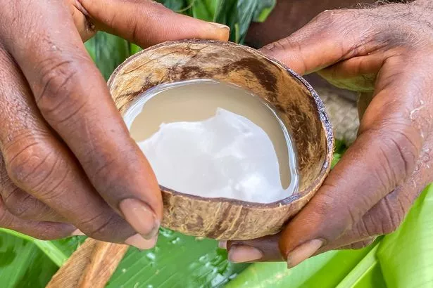 A man holding a small coconut shell full of brown water. Kava is a traditional and culturally significant beverage in Vanuatu