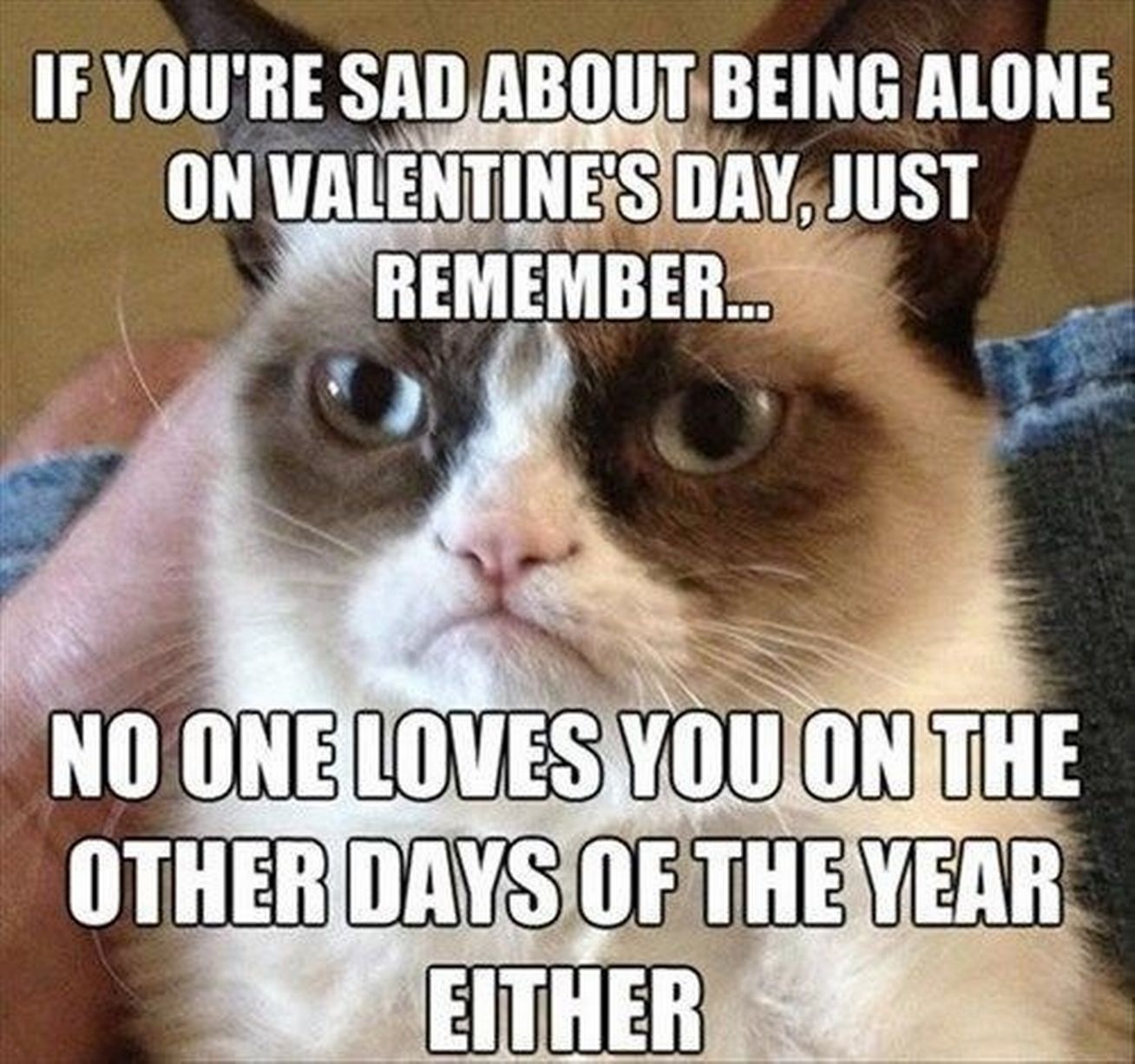 Funny Memes Valentines Day For Singles Jokes - Top 10 best valentine's ...