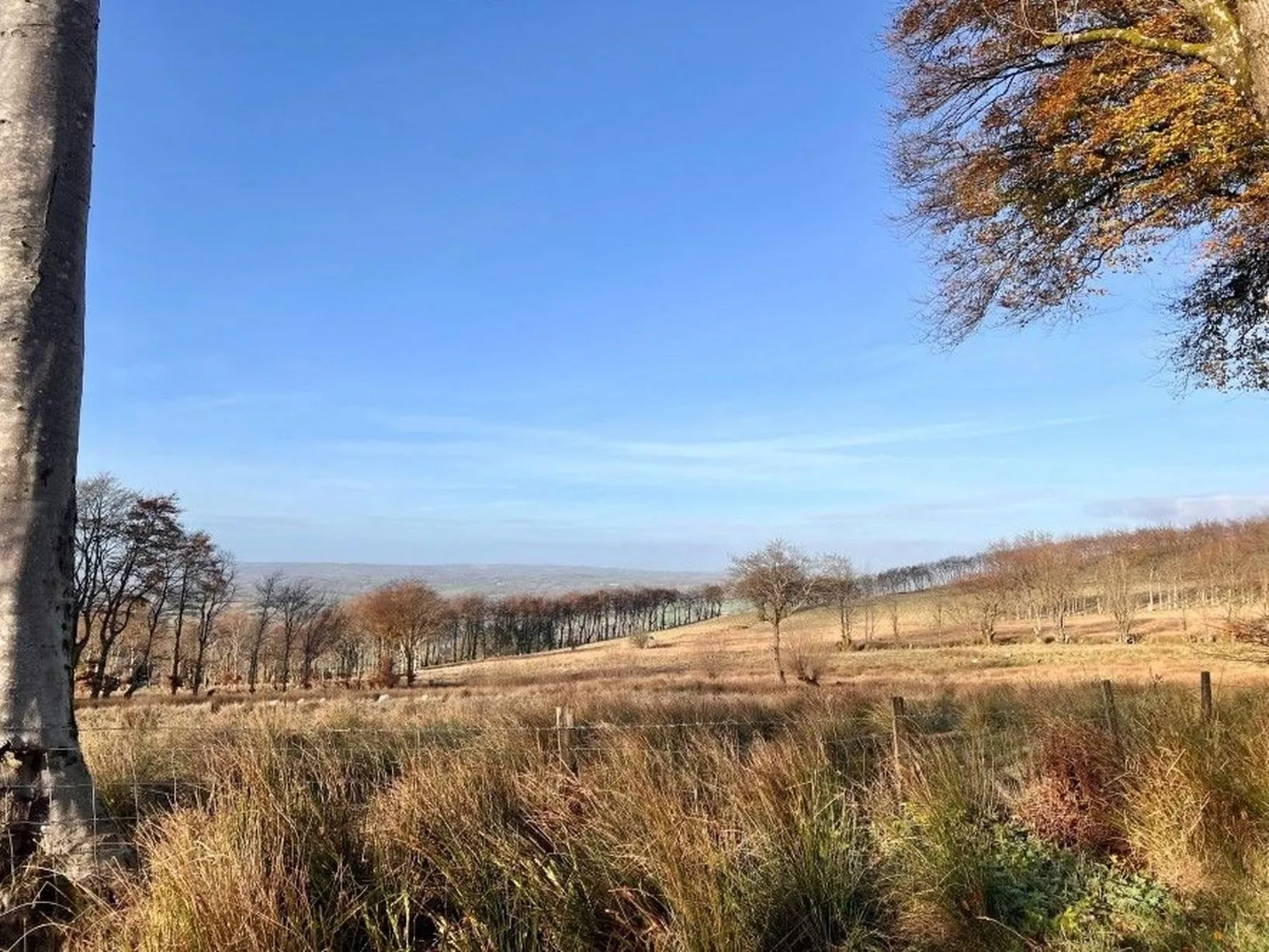 How's that for an absolutely amazing neighbour? The sweeping landscape of this remote corner of Carmarthenshire.