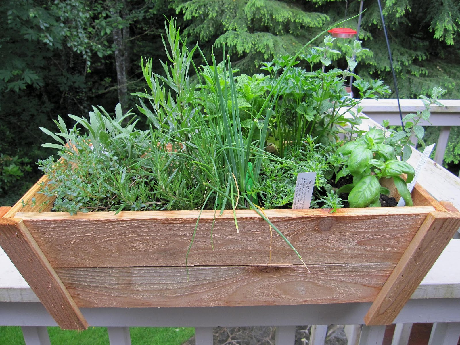 Art Garden Diva Herb Garden in Containers