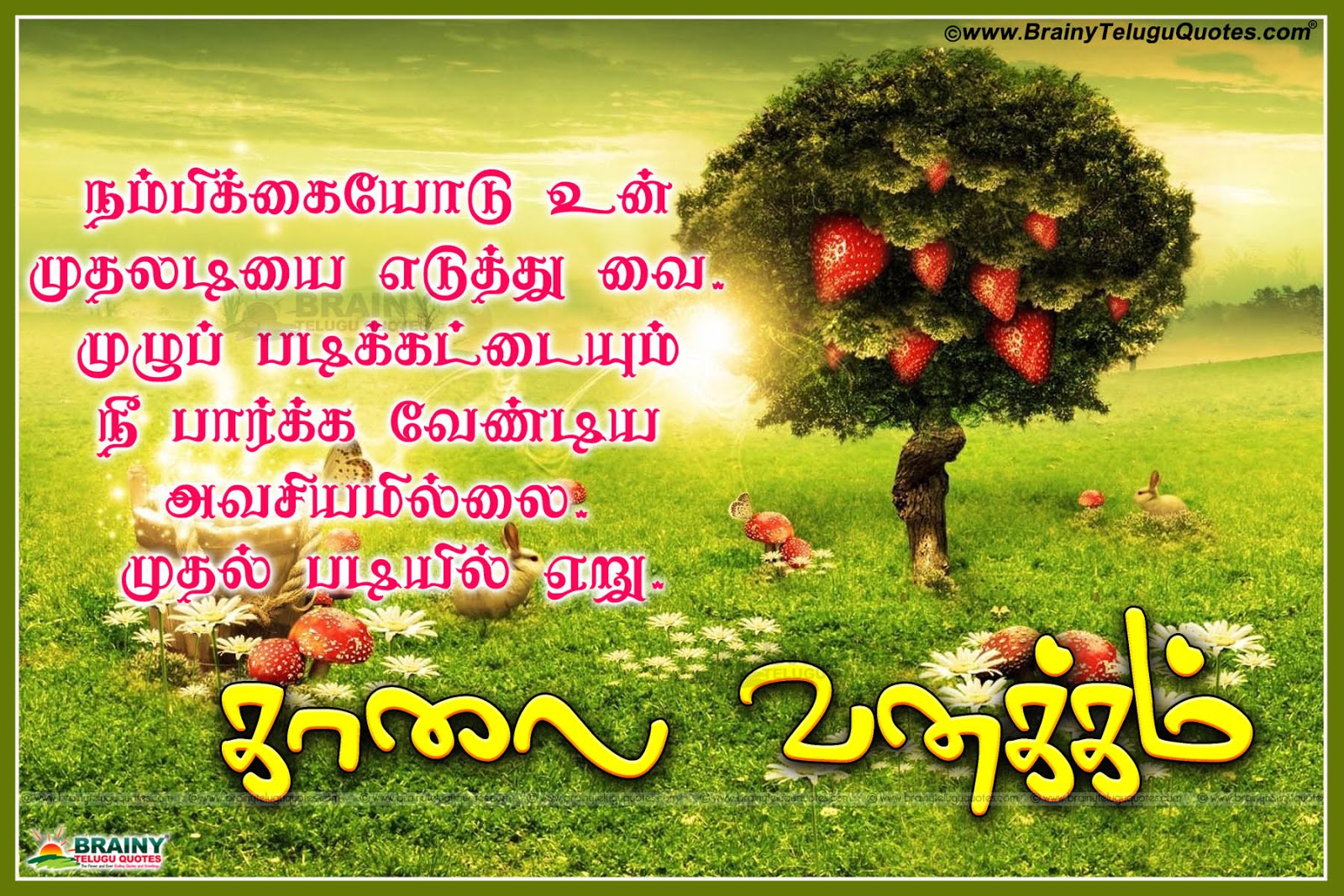 Tamil New Good Morning Images Kalai Vanakkam Wallpaper