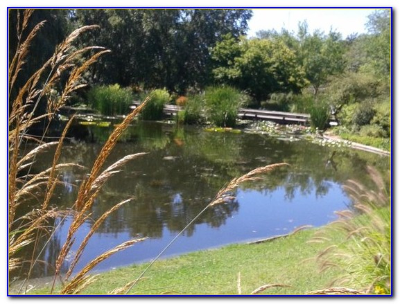 San Diego Botanical Gardens Hours