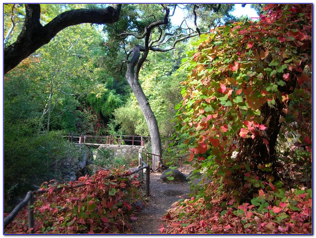 Santa Barbara Botanical Gardens Wedding