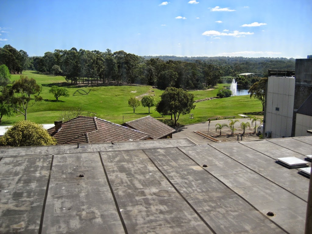 Macquarie University Sport and Aquatic Centre 10