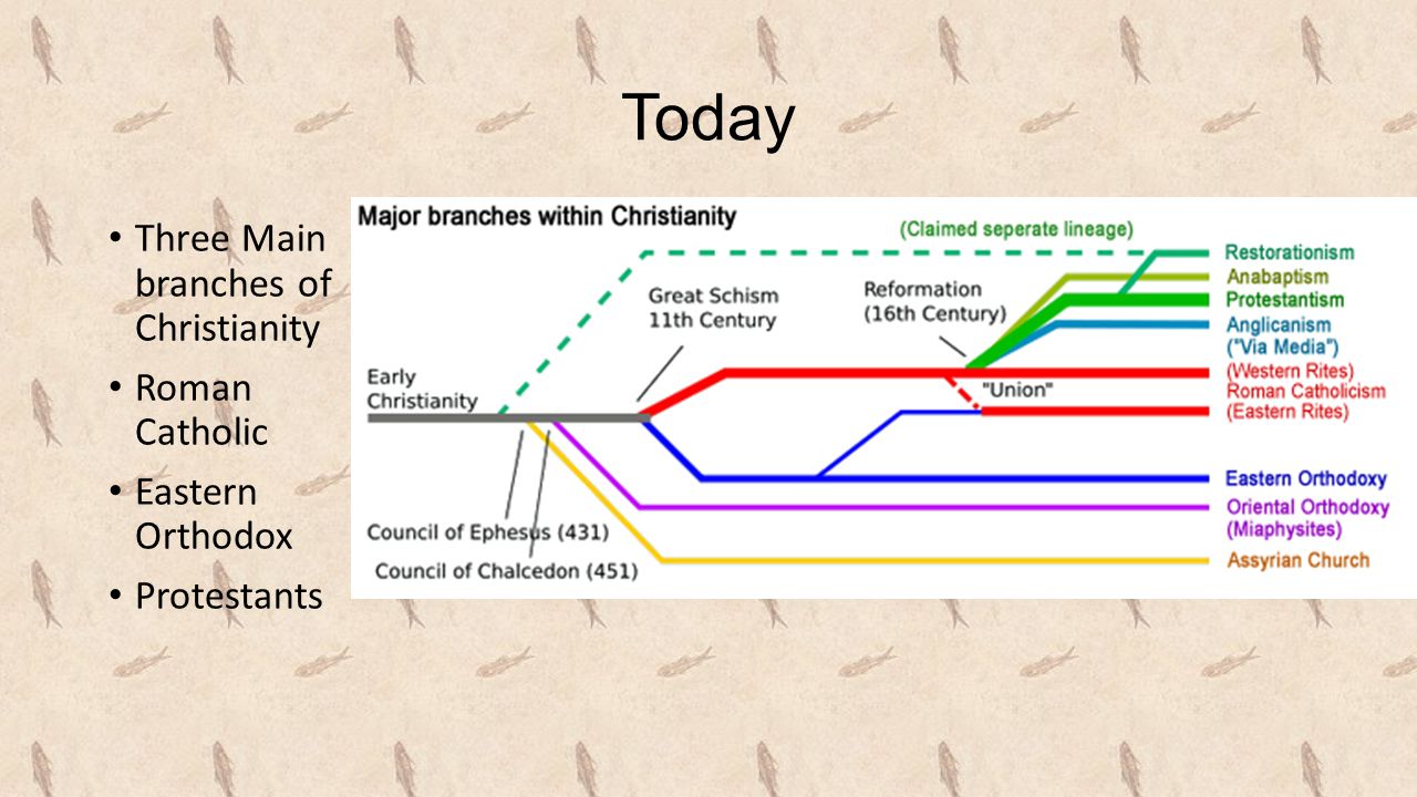 Roman Catholic Definition World History - DEFINITION VGF