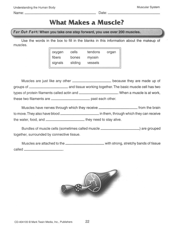 Mark Twain Media Worksheets