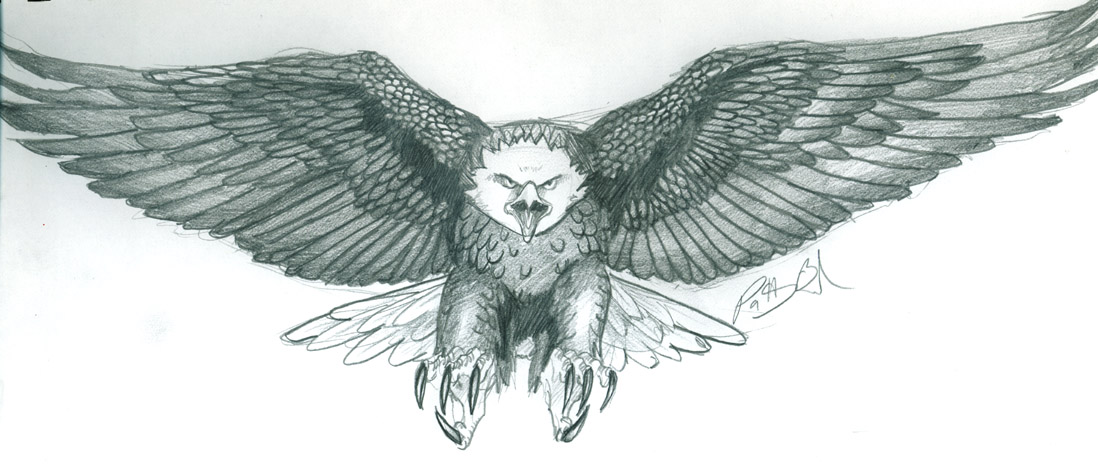 Eagle Drawing Tattoo at GetDrawings Free download