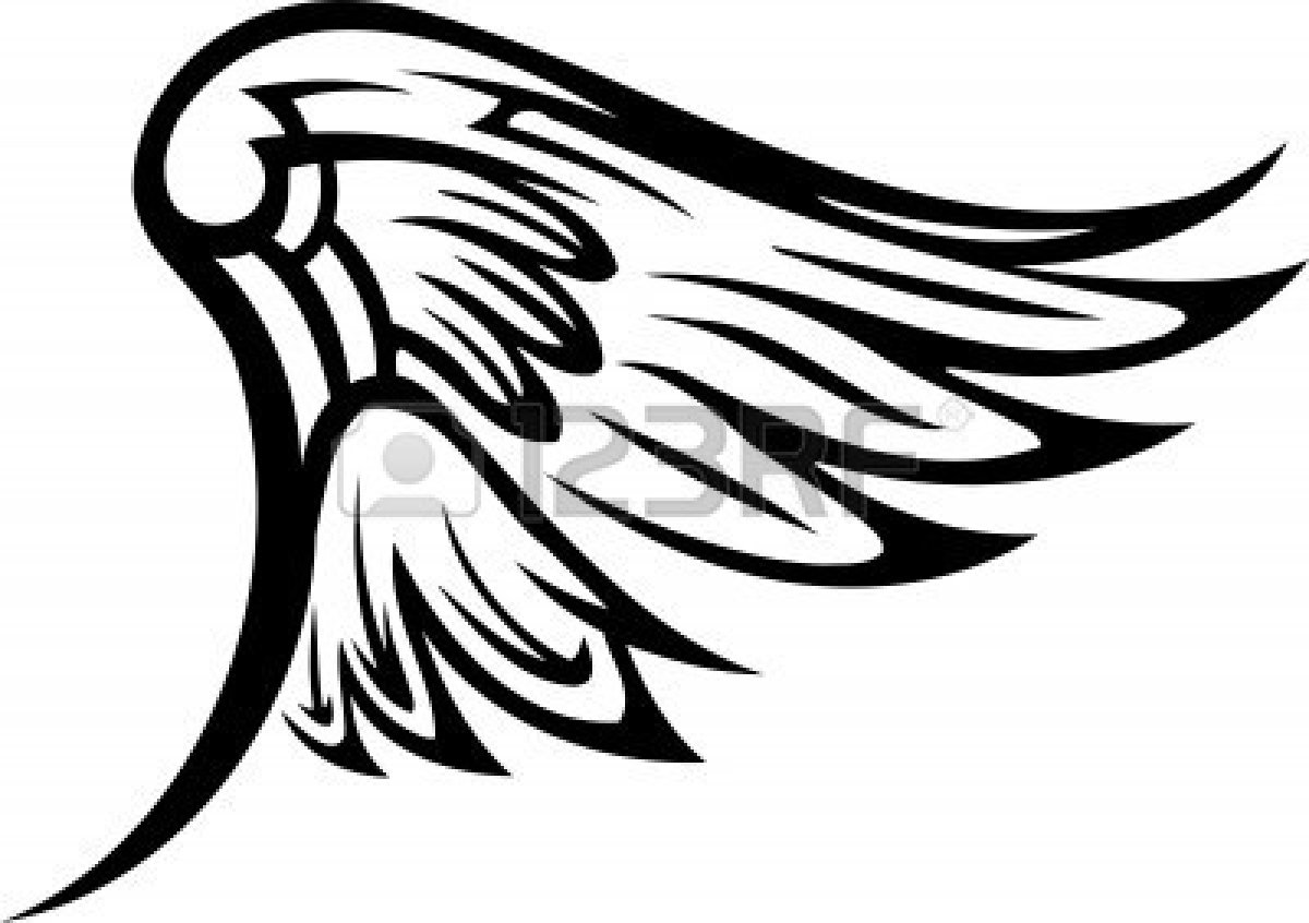 Eagle Wing Drawing at GetDrawings Free download