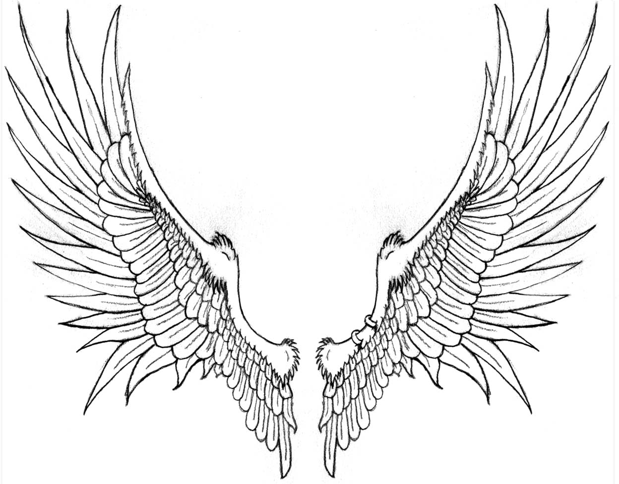 Hawk Wings Drawing at GetDrawings Free download