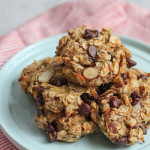 Gluten Free Skinny Banana Oat Flaxseed Cookies