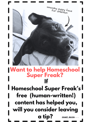 How To Help Homeschool Super Freak Stay Free