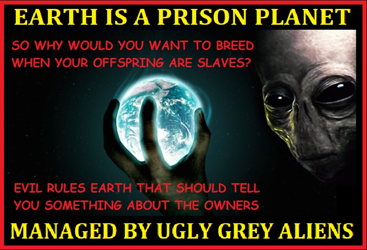 EARTH IS A PRISON MANAGED BY UGLY GREY ALIENS ImgPile