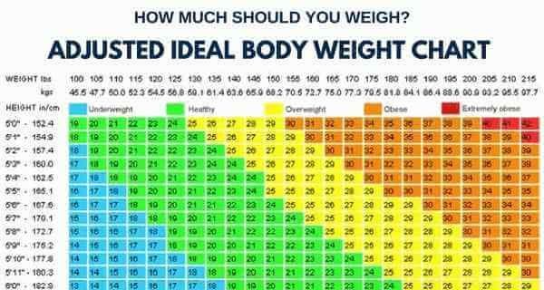 How Much Should I Weigh Calculator Australia MCHWO