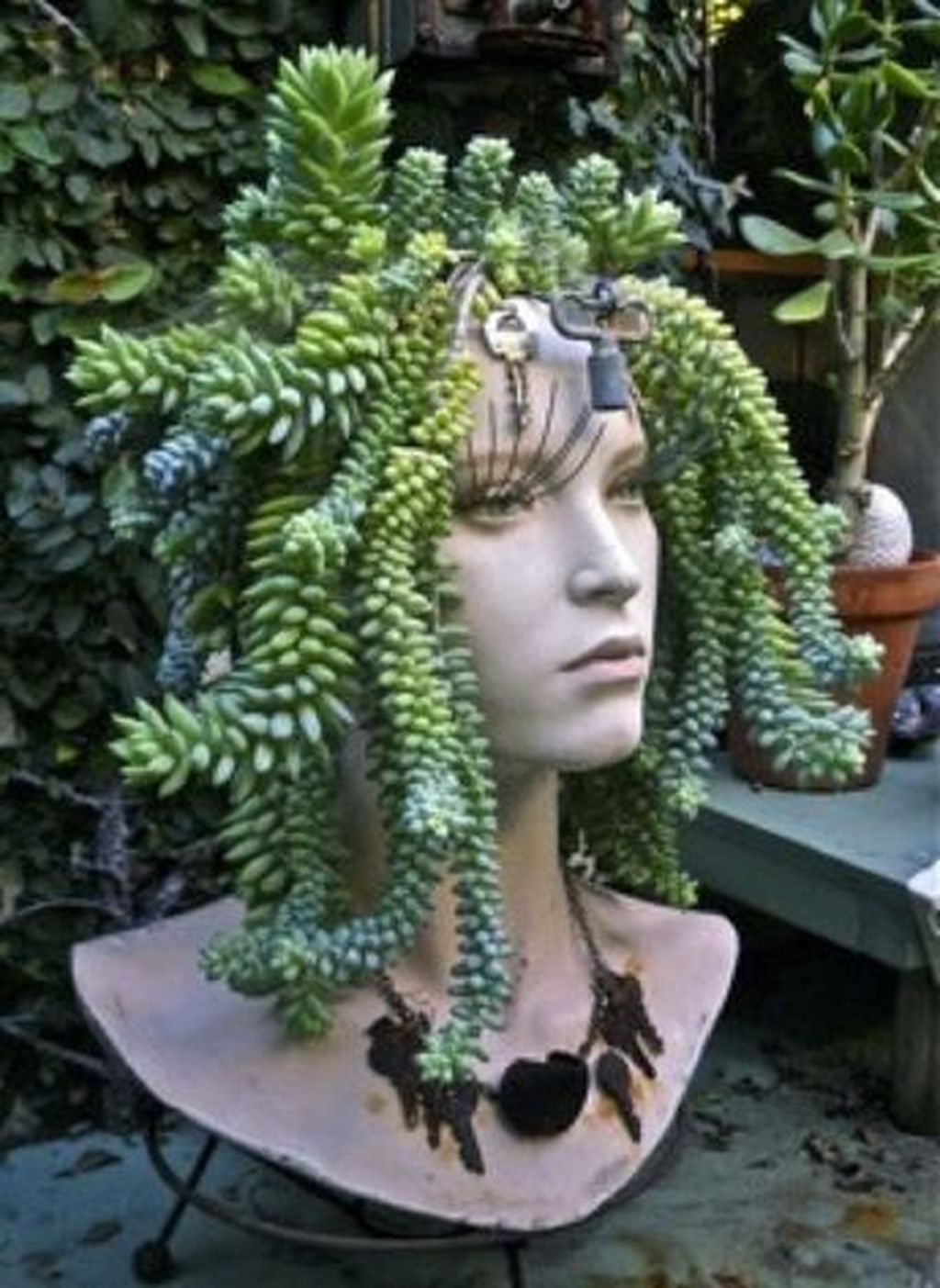 Beautiful Outdoor Succulent Planter Ideas 08