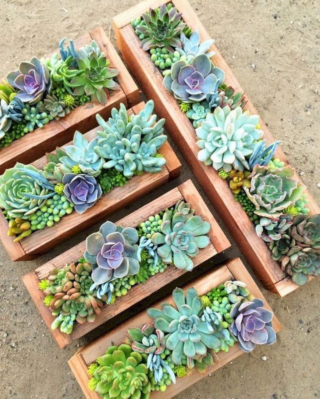 Beautiful Outdoor Succulent Planter Ideas 12