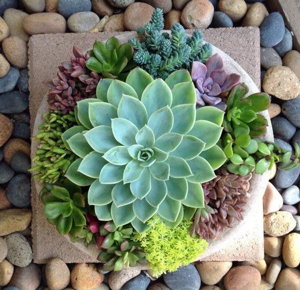 Beautiful Outdoor Succulent Planter Ideas 15