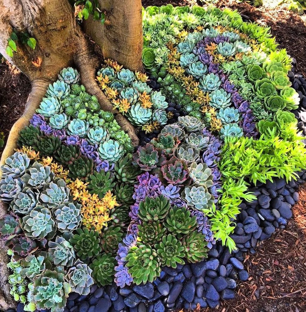 Beautiful Outdoor Succulent Planter Ideas 25