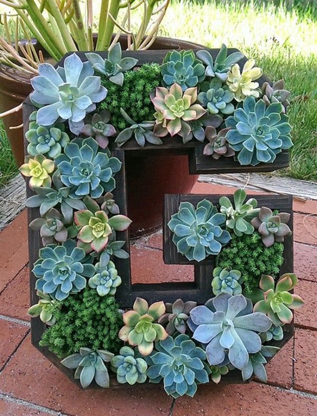 Beautiful Outdoor Succulent Planter Ideas 29