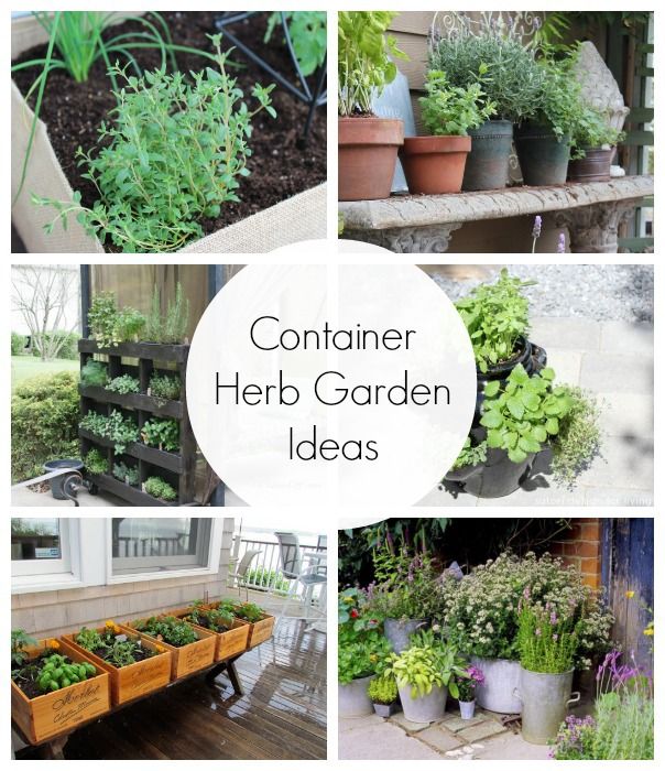 Container Herb Garden Ideas