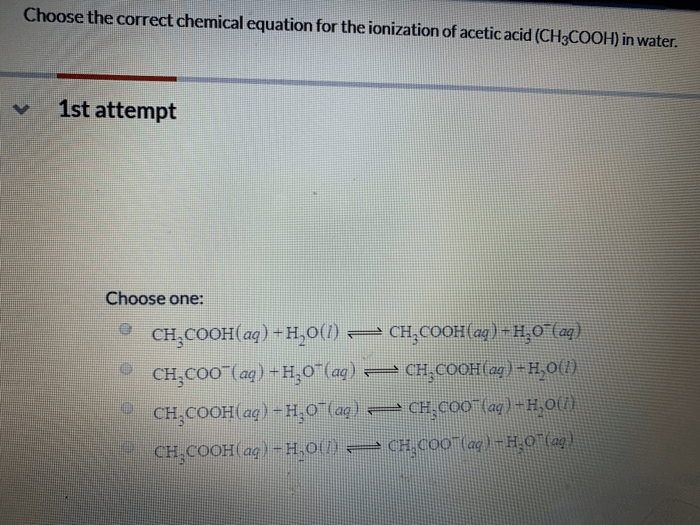 Correct Chemical Equation