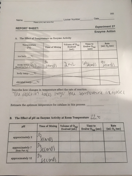 383 Name Locker NumberDate Experiment 27 Enzyme | Chegg.com