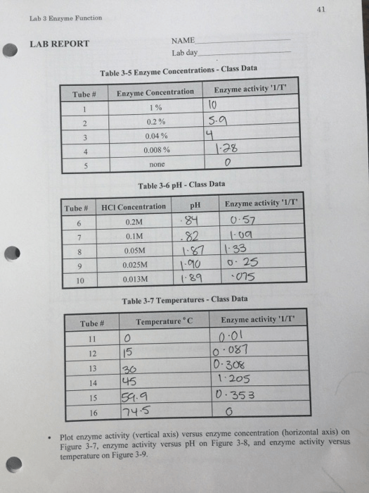 Solved Lab 3 Enzyme Function 41 LAB REPORT NAME Lab day | Chegg.com