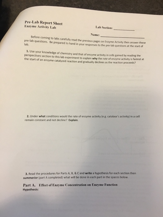 Solved Pre-Lab Report Sheet Enzyme Activity Lab Lab Section | Chegg.com