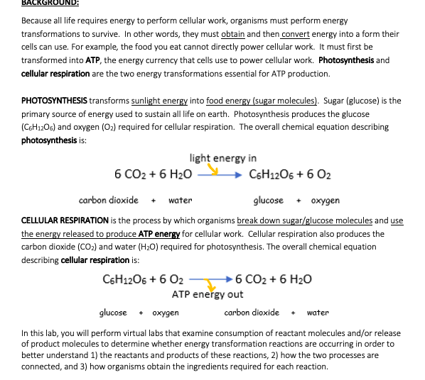 Solved Bac Because All Life Requires